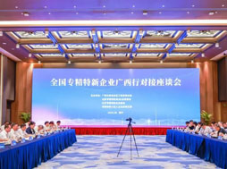 專精特新,廣西行,座談會,樂氏科技,綠色低碳